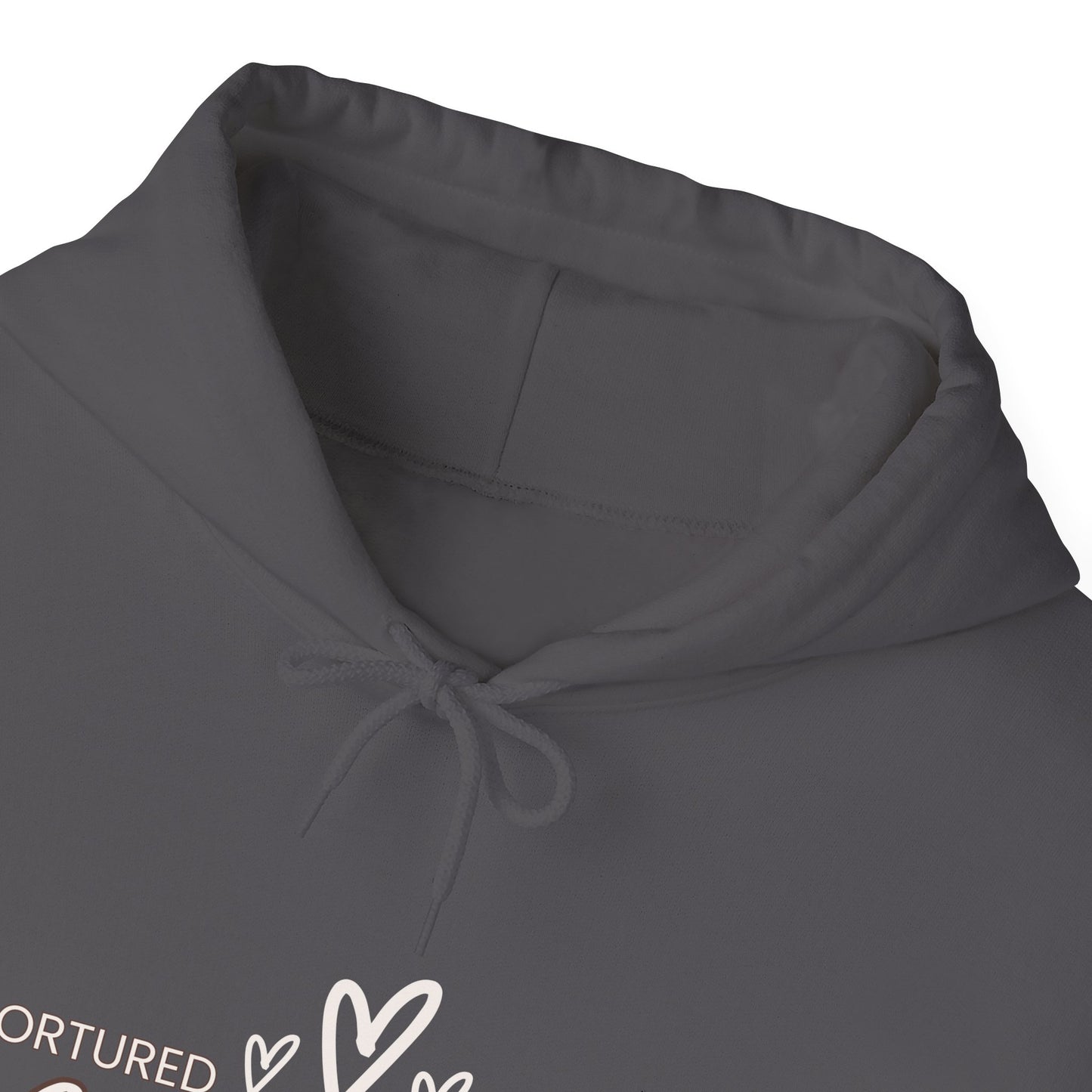 Poets Society Hooded Sweatshirt, Cozy Unisex Hoodie for Writers, Gift for Poets, Literary Apparel, Writing Inspiration